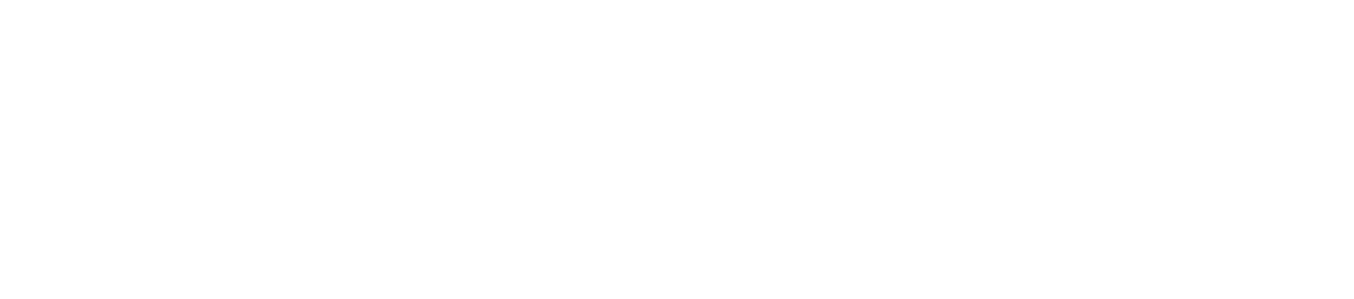 PolyWorks Logo